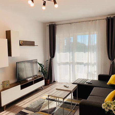 Newton Luxury Apartment Iasi Luaran gambar